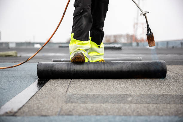 Best Asphalt Shingle Roofing  in Violet, LA